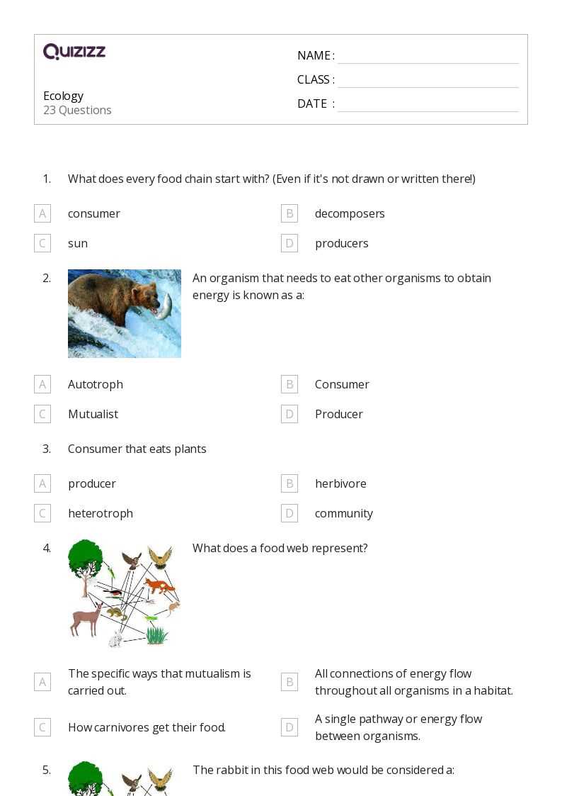 ecology worksheets ecology worksheets