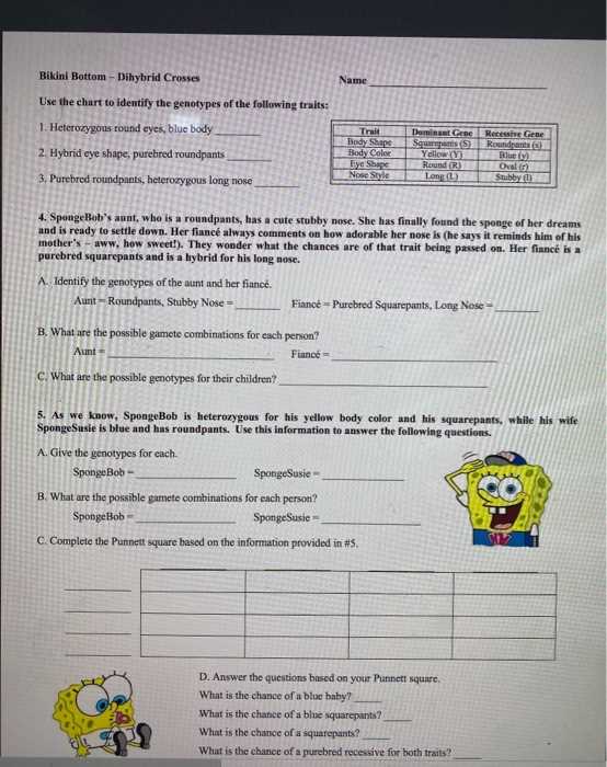 spongebob punnett square worksheet