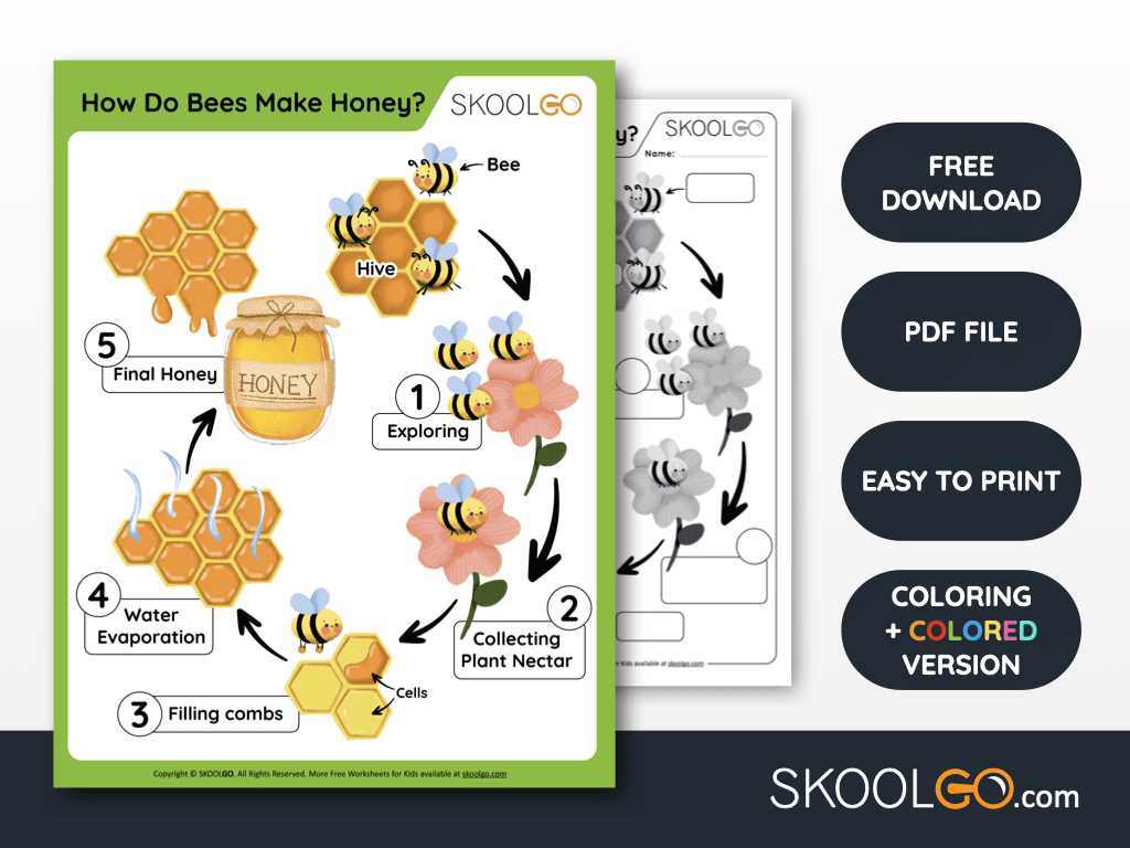 how to make worksheet