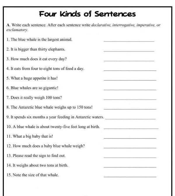 four kinds of sentences worksheet