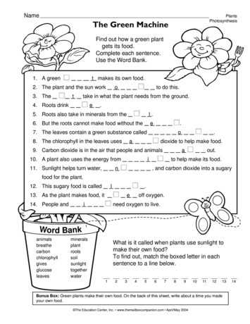 photosynthesis worksheet for kids