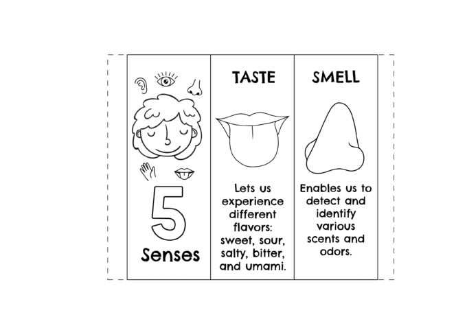 five senses worksheet preschool