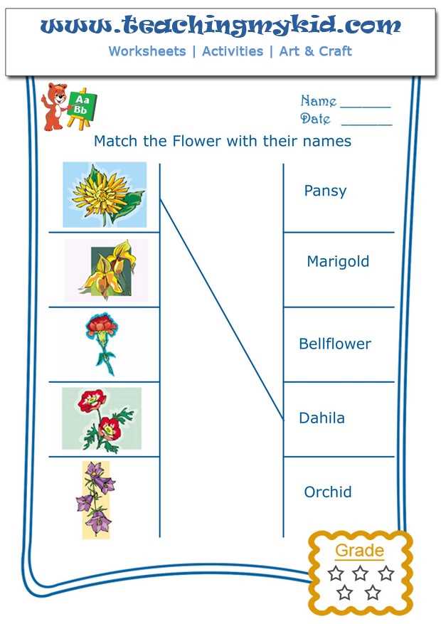 flower activity worksheet