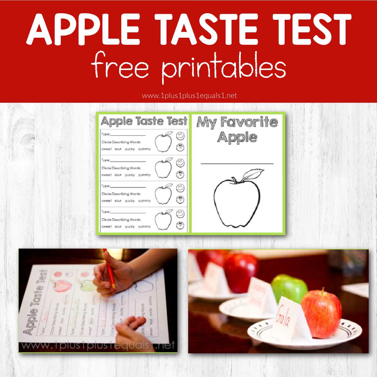 taste test worksheet