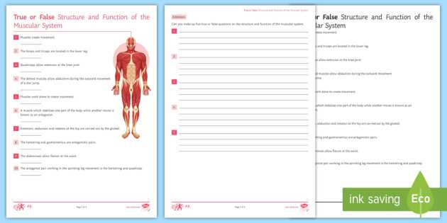 worksheet for muscular system