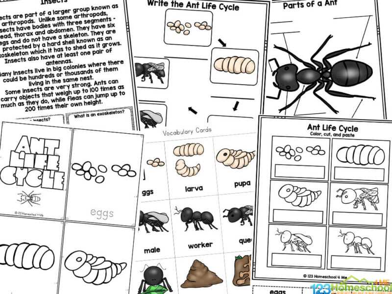 dr amen ants worksheet