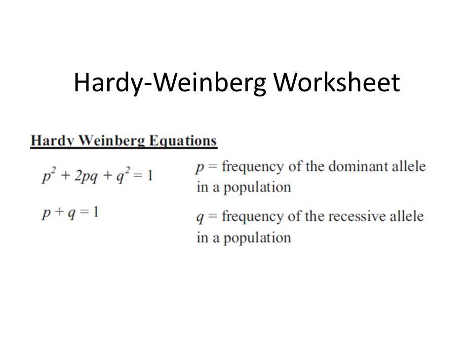 allele frequency worksheet