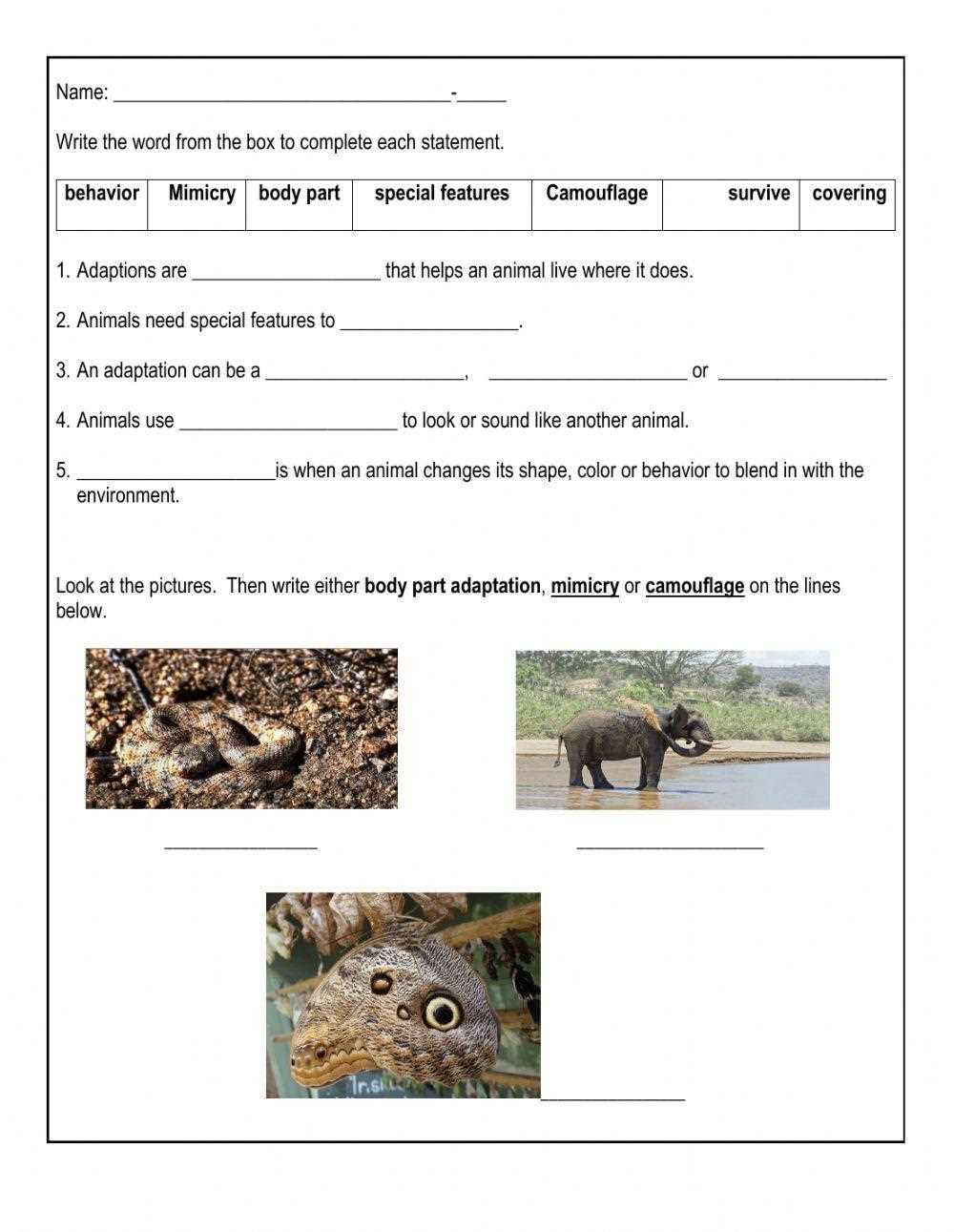 animals habitat and adaptation class 5 worksheet