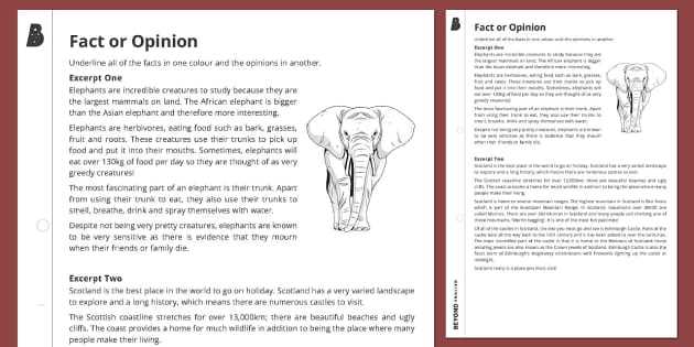 animal facts and opinions worksheet