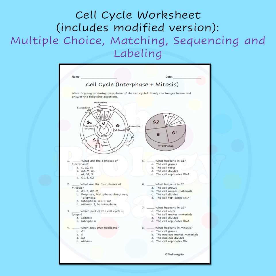 the cell cycle worksheet