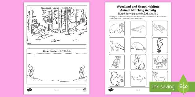habitats worksheets