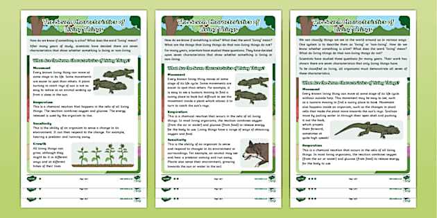 traits of living things worksheet