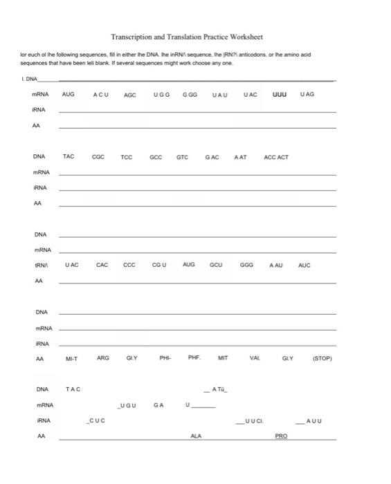 translations practice worksheet