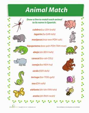 animal worksheets in spanish