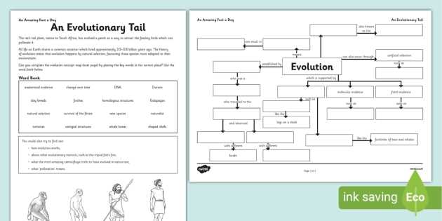types of evolution worksheet