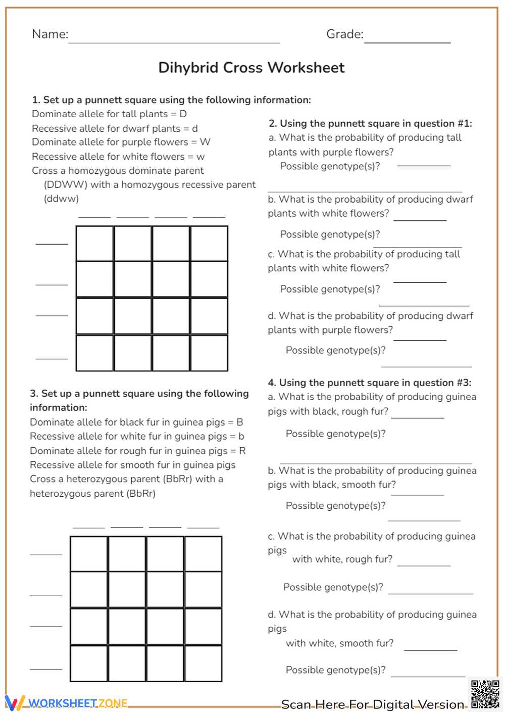 dihybrid crosses worksheet