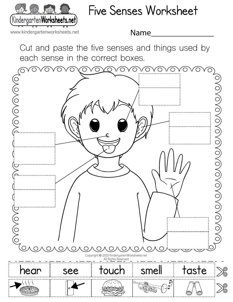 5 senses live worksheet