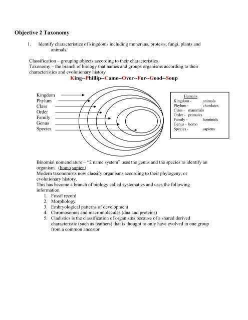 taxonomy worksheet