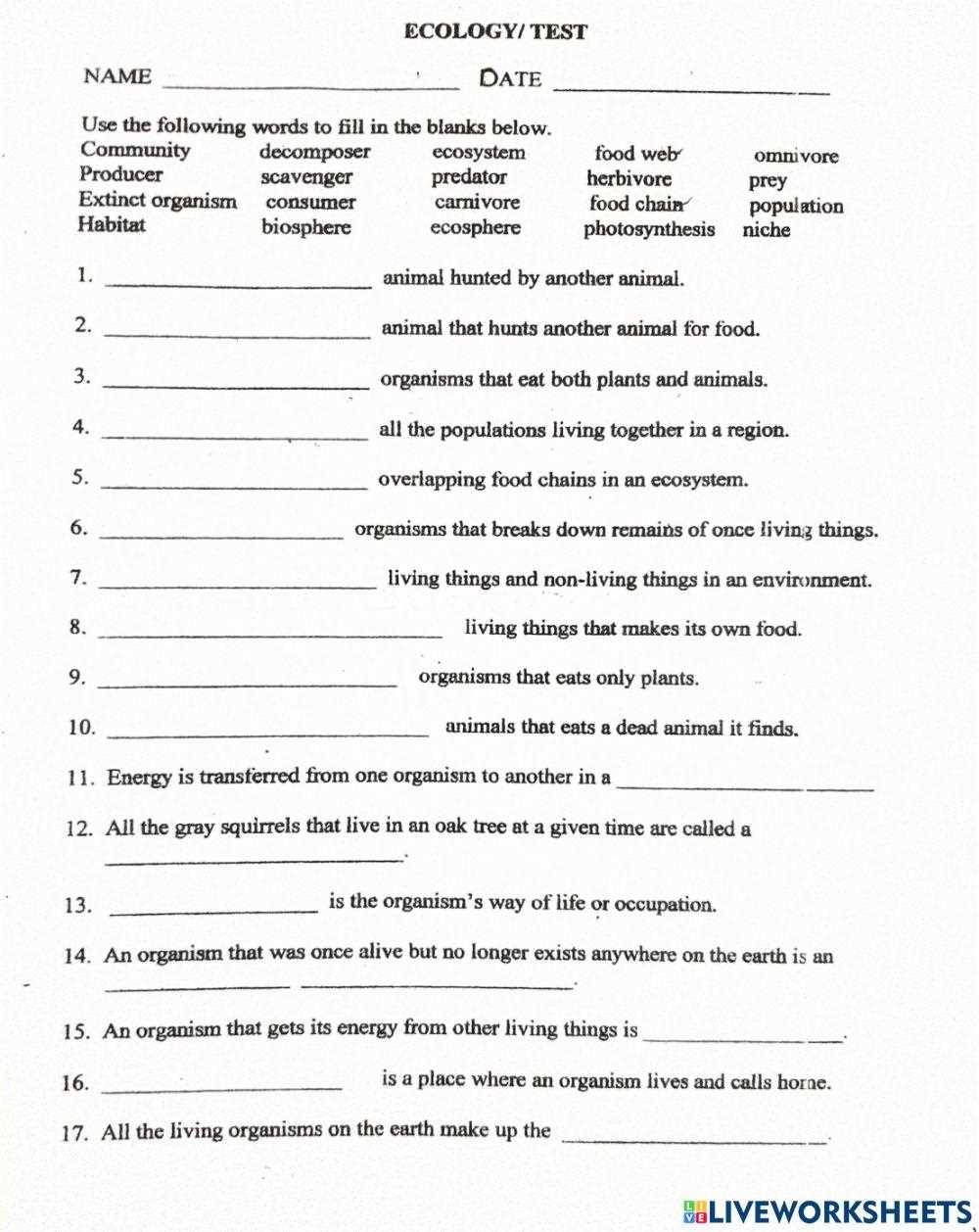 ecology worksheets ecology worksheets