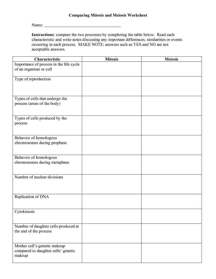 mitosis vs meiosis worksheet