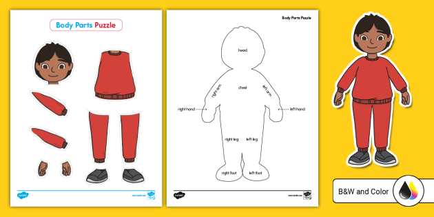free printable body parts worksheets for preschool