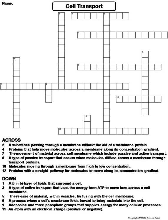 active and passive cell transport worksheet active and passive cell transport worksheet