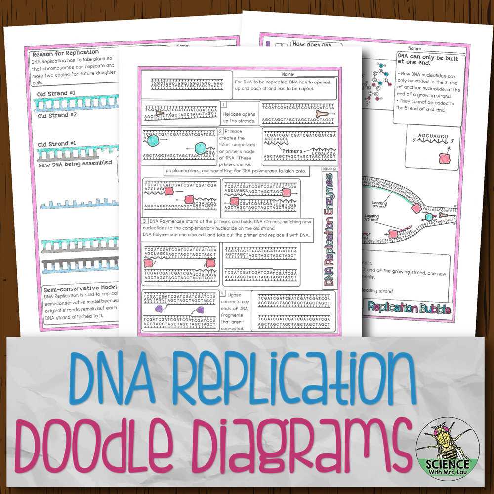 biology mr hoyle dna worksheet