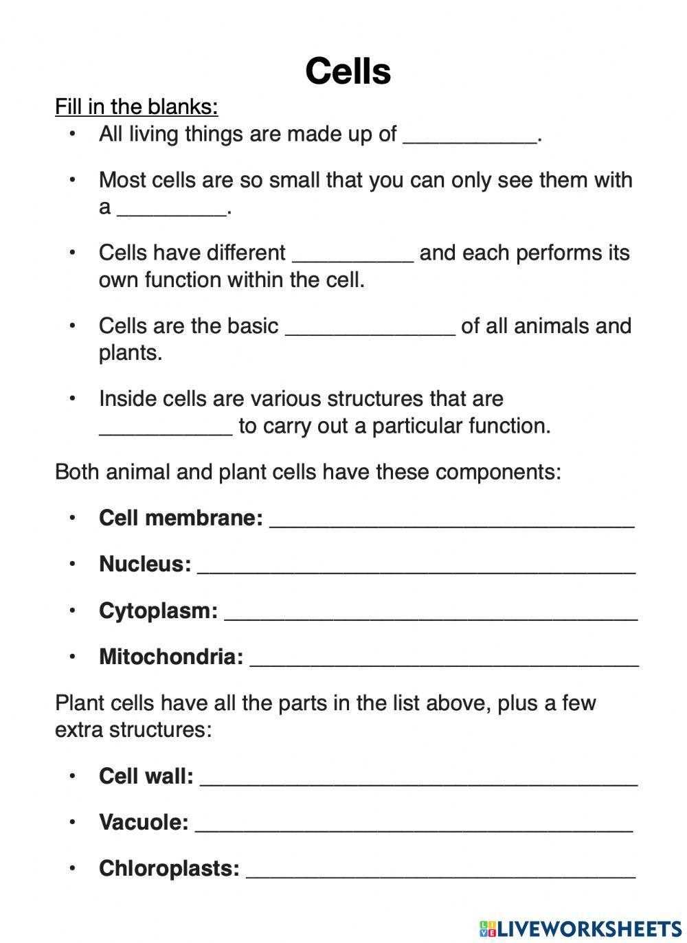 worksheet cells