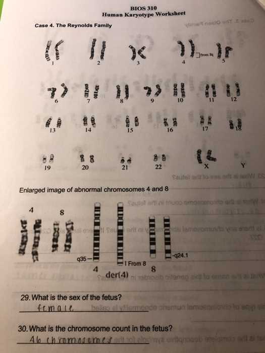 biology karyotype worksheet key
