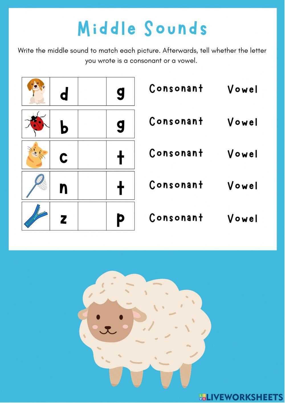 consonant and vowel worksheet