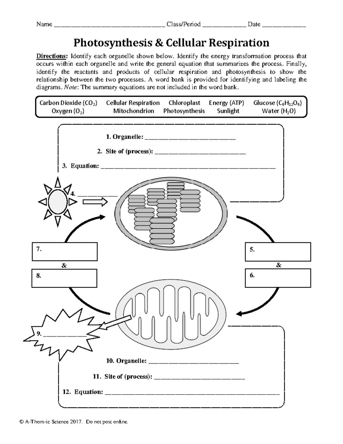 compare photosynthesis and cellular respiration worksheet