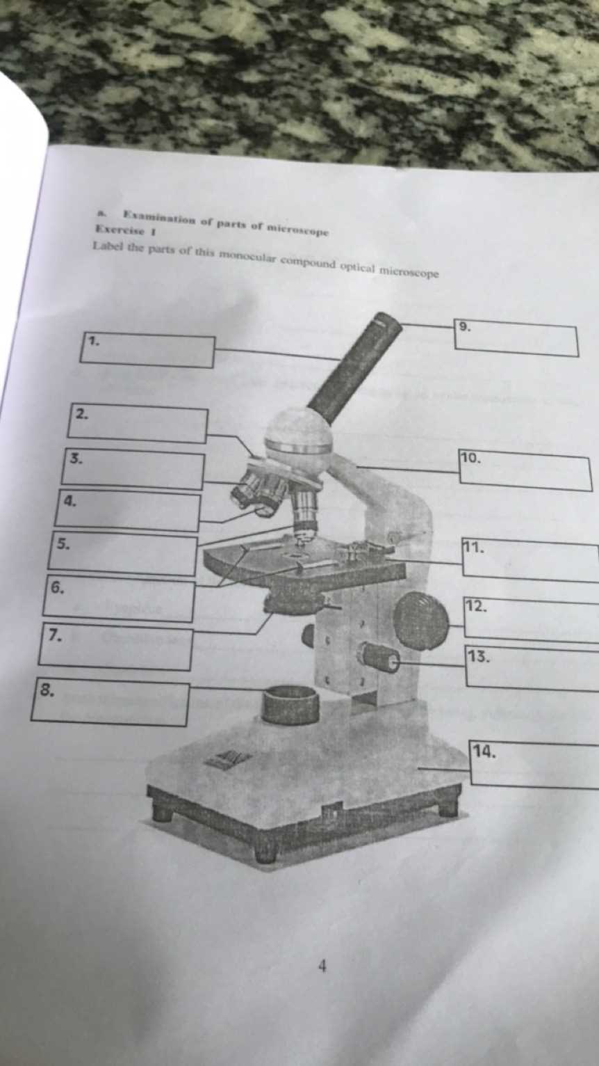 label the microscope worksheet