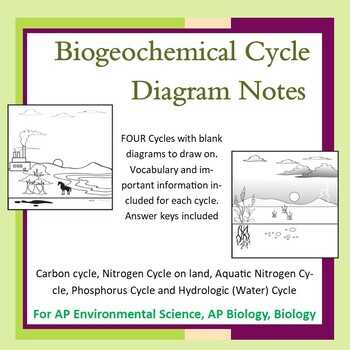 ap environmental science biogeochemical cycles worksheet