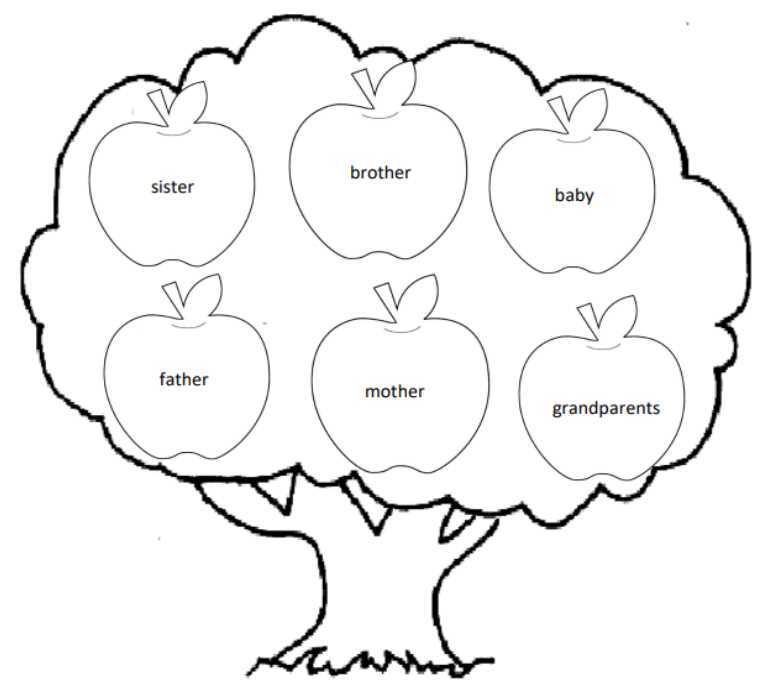 family tree worksheet for kindergarten