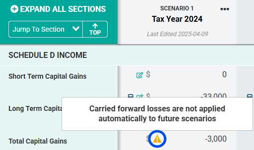 capital loss carryover worksheet