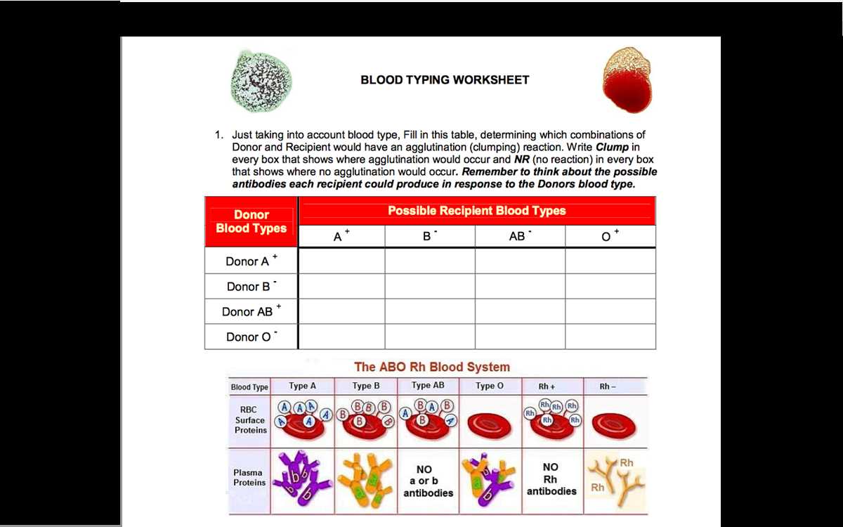 blood type practice worksheet