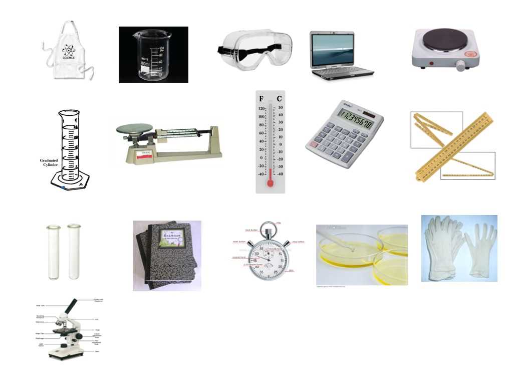 science tools worksheet