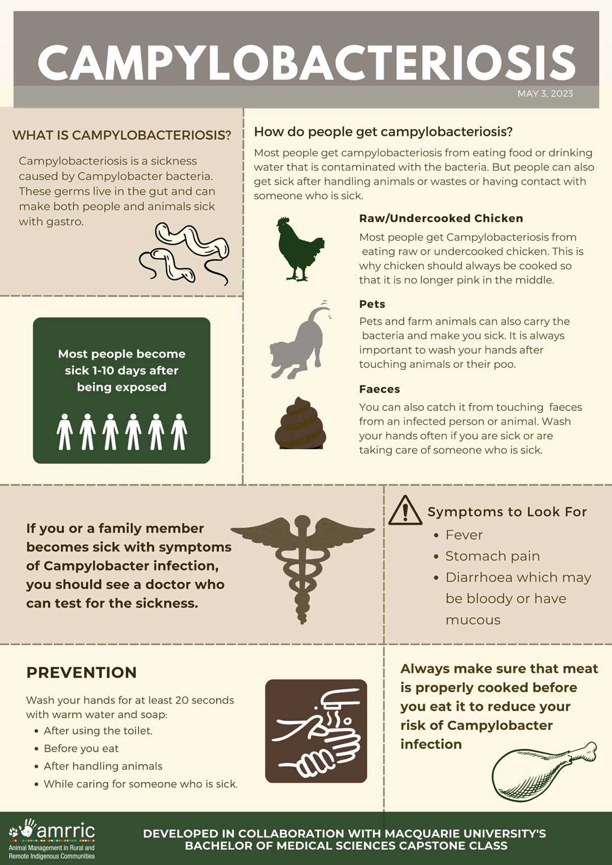 common animal diseases worksheet