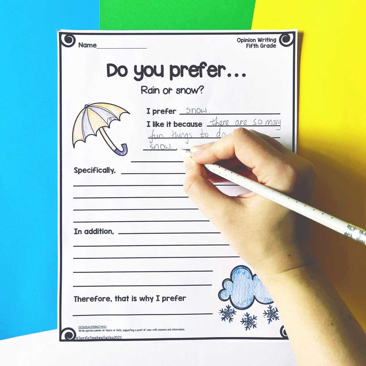 5th grade point of view worksheets