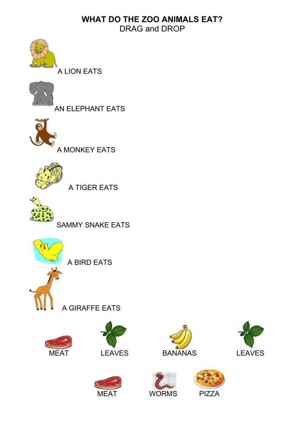 animal food worksheet