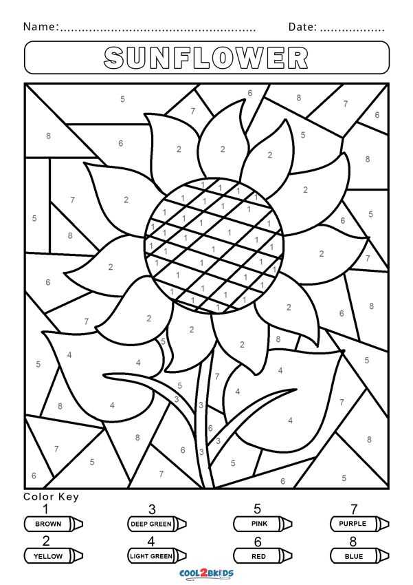 worksheet color by number