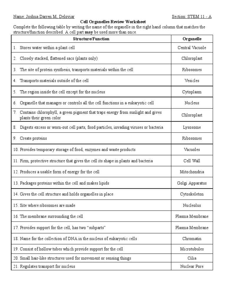 worksheet on cell organelles