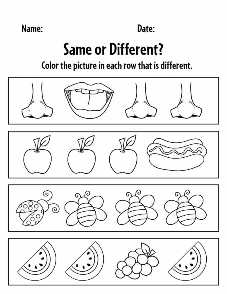 worksheet same and different