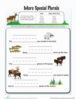 worksheets on irregular plural nouns