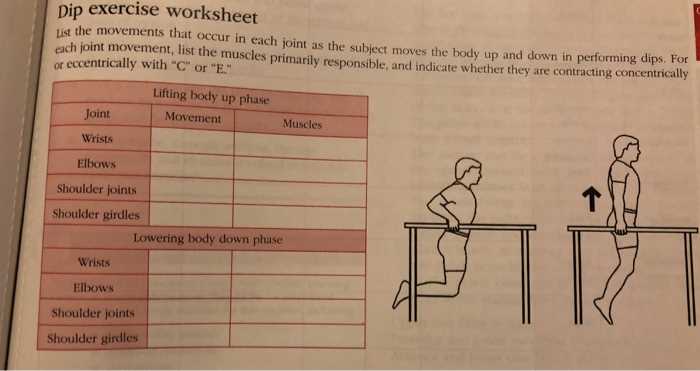 joints & movement worksheet