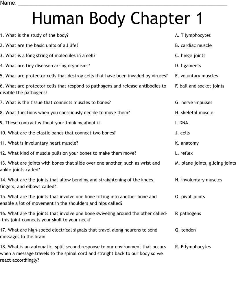 anatomy chapter 1 worksheet