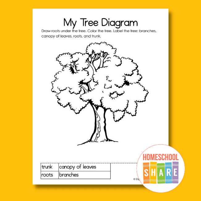 lorax worksheets