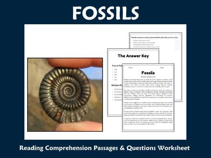 fossils reading worksheet