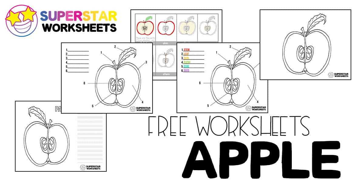 apple worksheets first grade