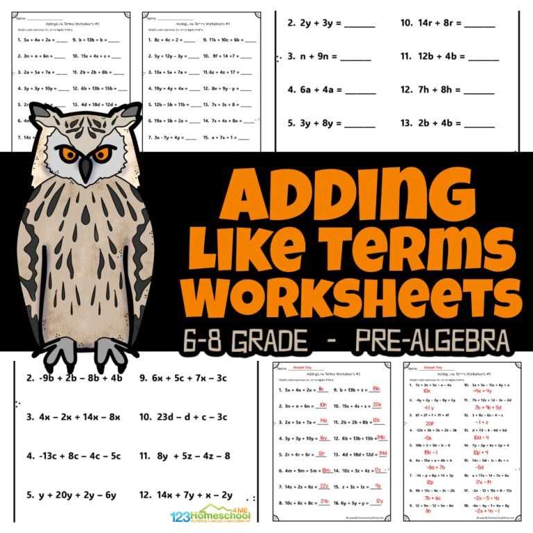 algebra 1 practice worksheets